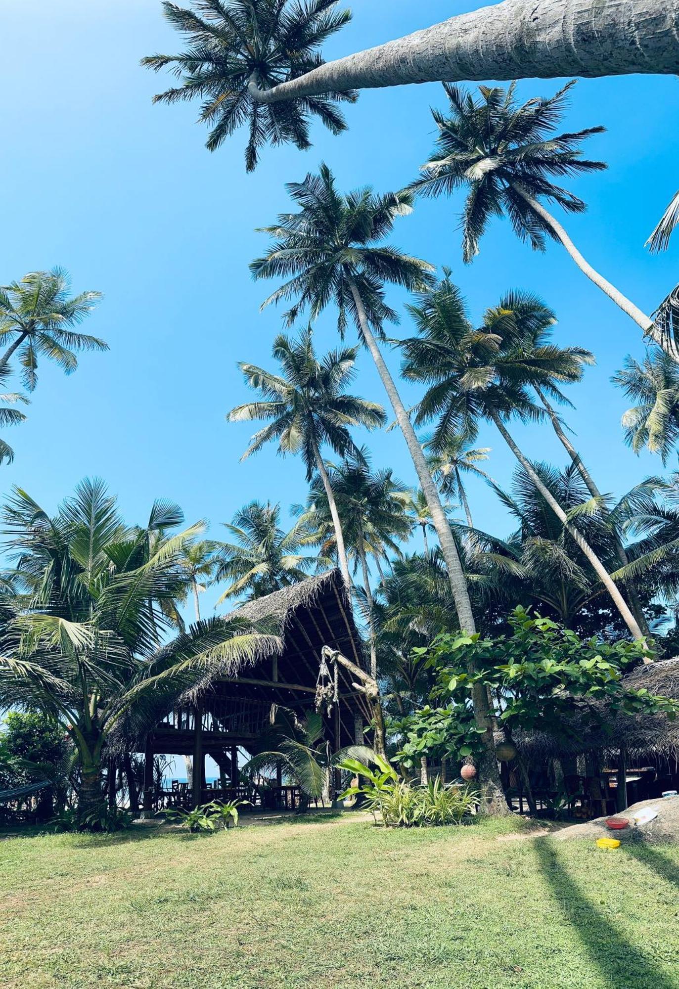 Villa La Kurumba Амбаланґода Екстер'єр фото